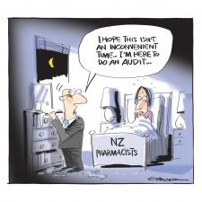 audit cartoon June 2019