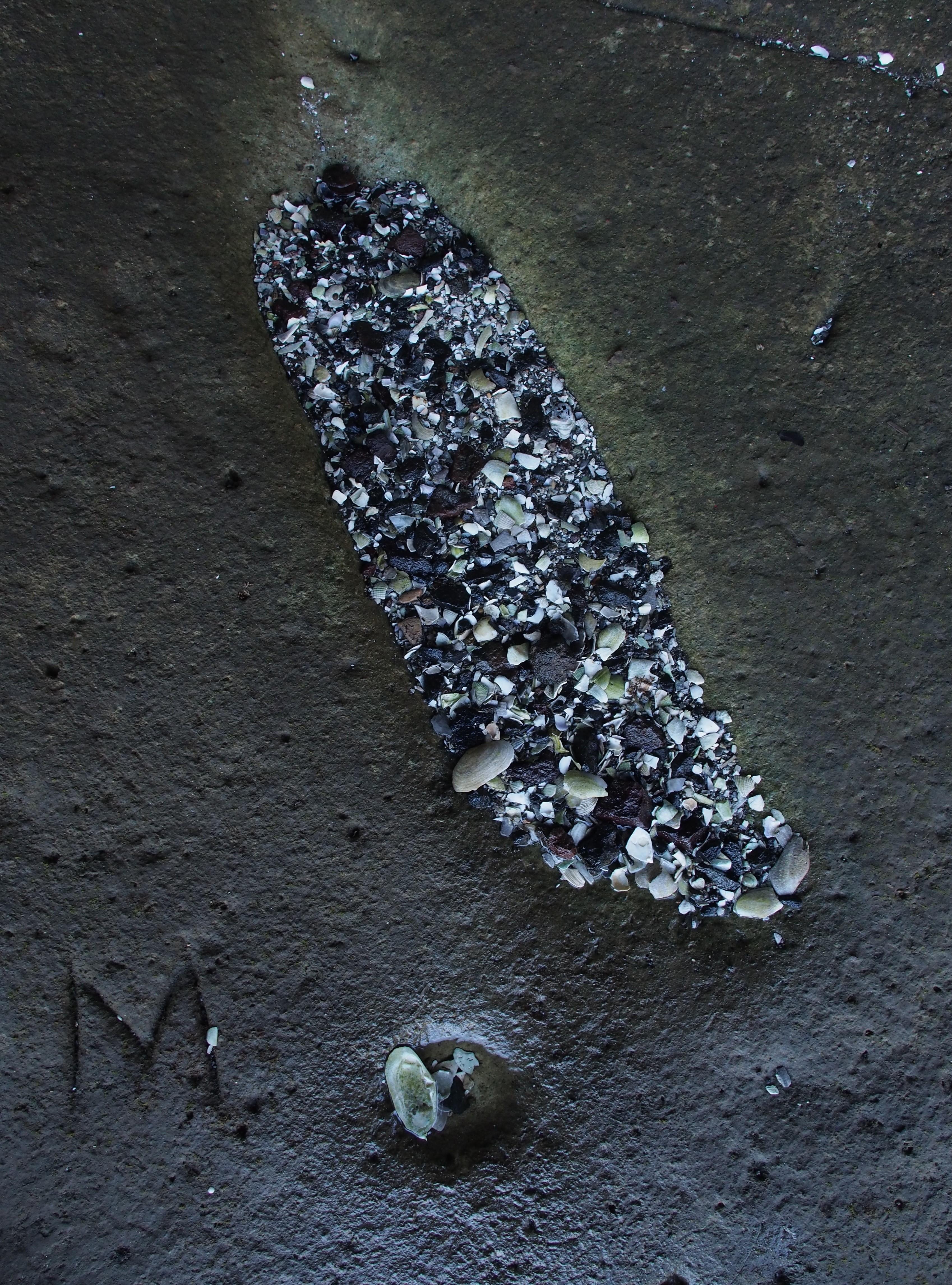 Estuary rock slab