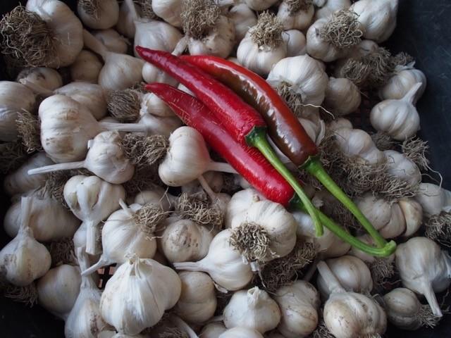 Garlic and chilli