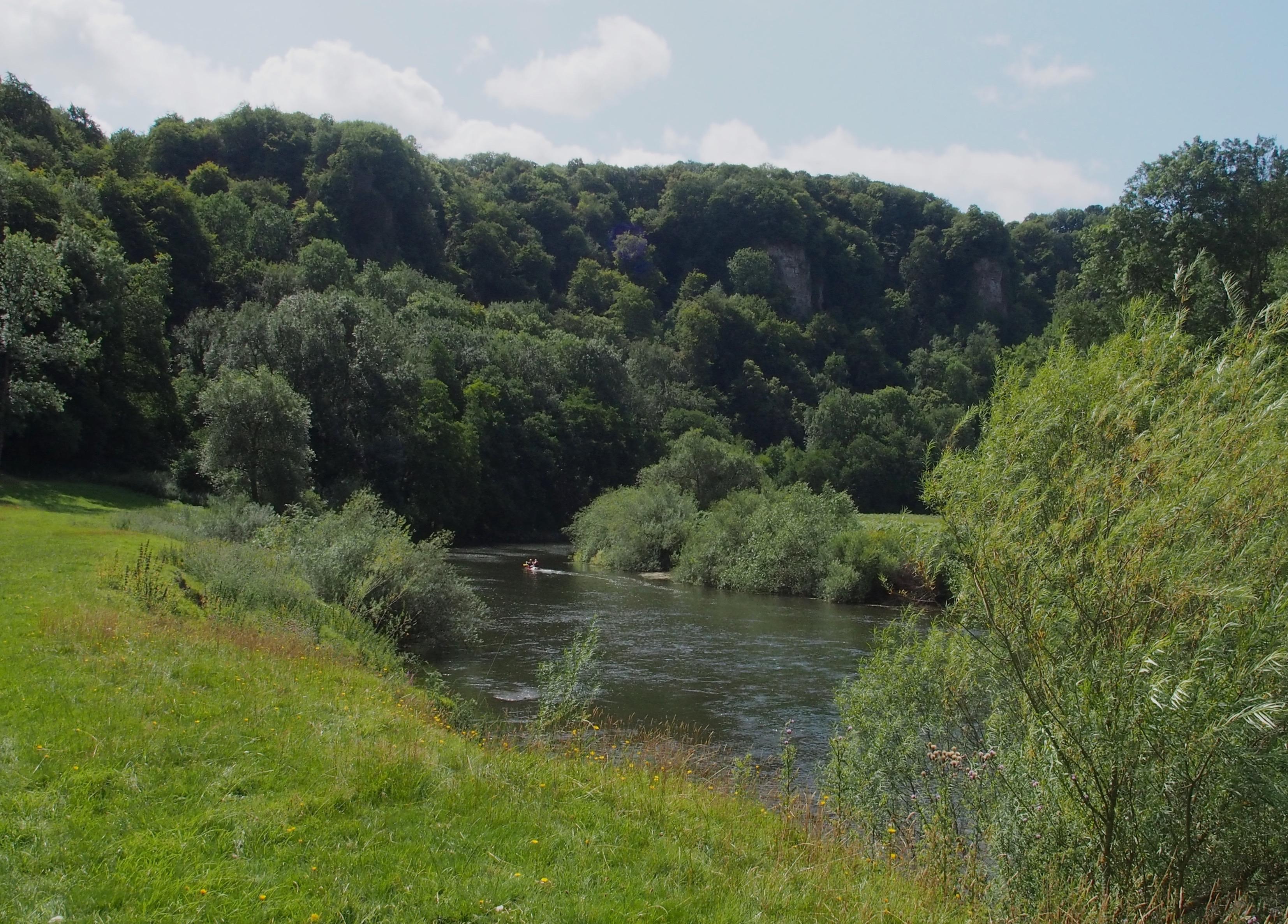 Wye near Symonds Yat