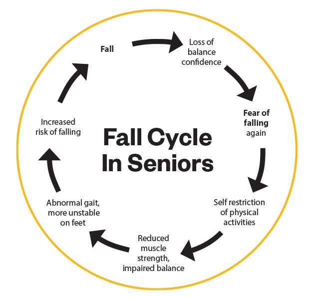 St John fall cycle figure