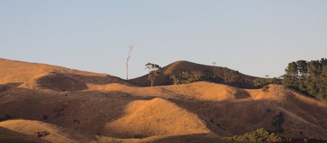 waikato drought